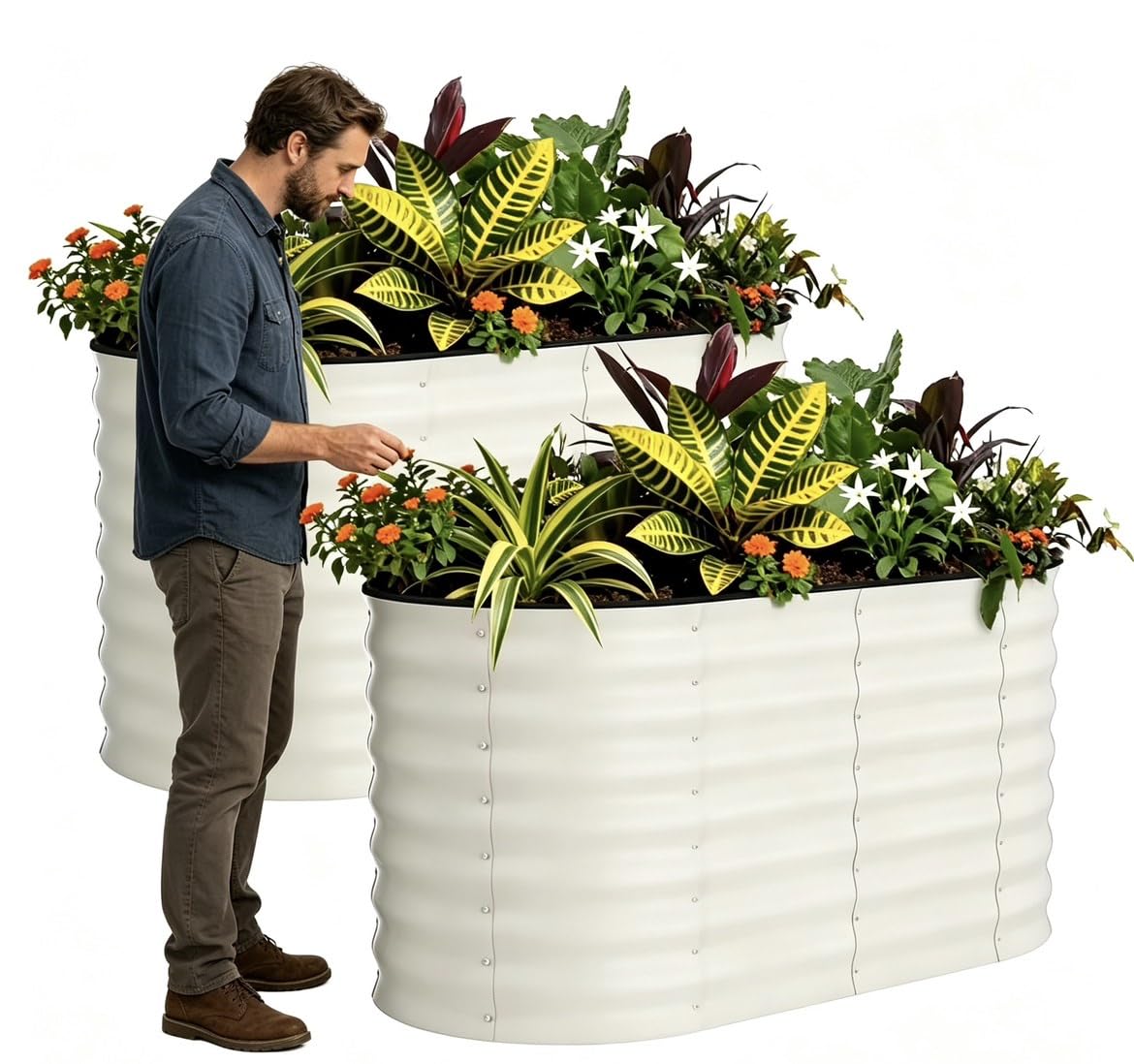 Djioyer 120x60x60CM Galvanized Raised Beds for Garden, 2 Packs Outdoor Metal Raised Planter with Safety Edging, Bottomless, Rust-Resistant Rounded for Vegetables, Flowers, Easy Assembly, Beige