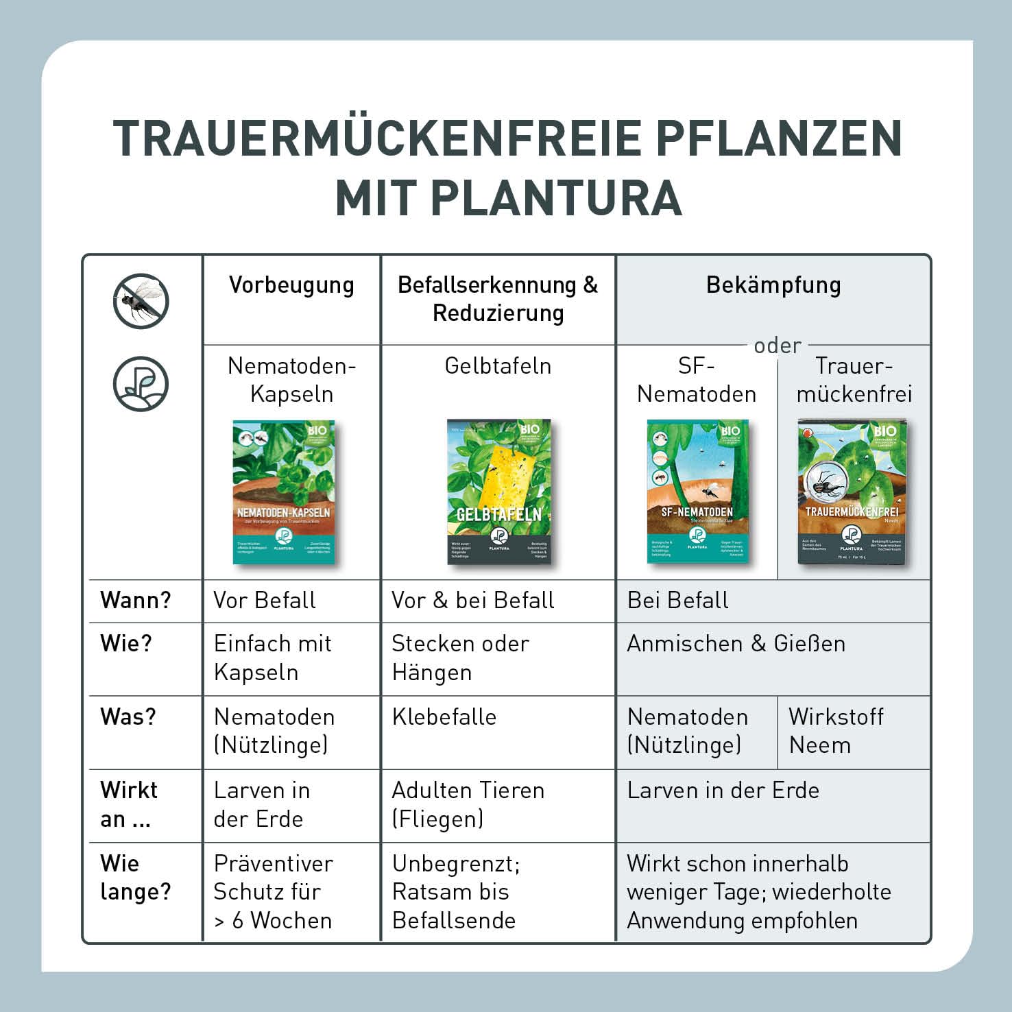 Plantura Bio-Trauermückenfrei Neem, hochwirksames Gießmittel gegen Trauermücken aus Neem, 75 ml für ca. 30 Pflanzen