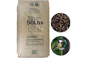 Finch and Songbird’s Favorite Food: Nyjer Plus Bird Seed: 10-Pound Bag