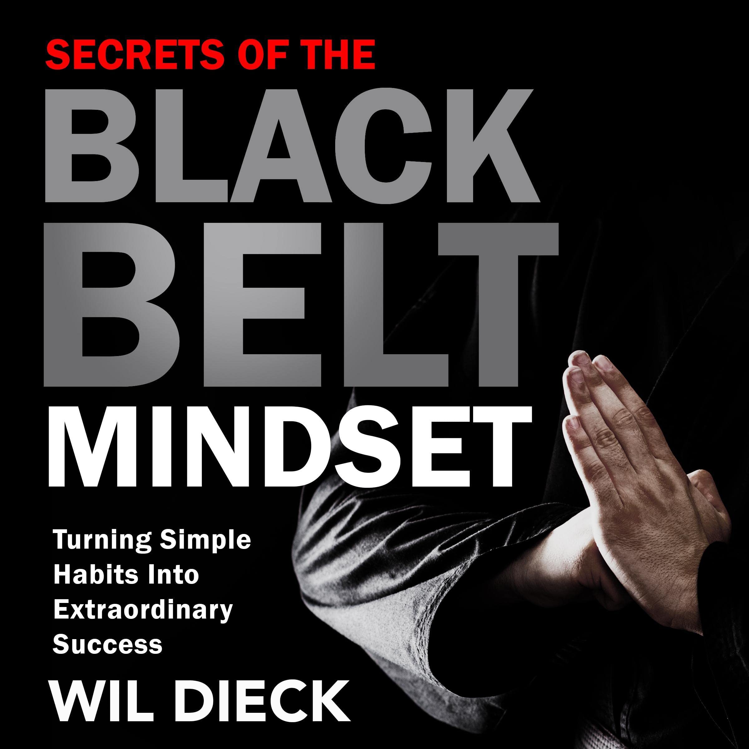Cover art for The Secrets of the Black Belt Mindset
