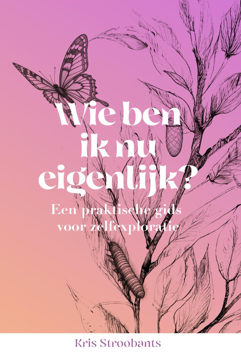 Wie ben ik nu eigenlijk?: Zelfreflectie voor beginners: een praktische gids