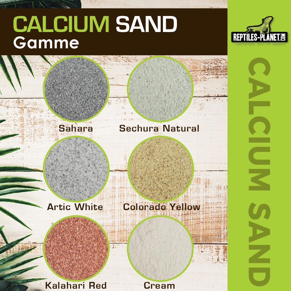 Reptiles-Planet Kalzium Sand, 5kg, Kalahari Rot