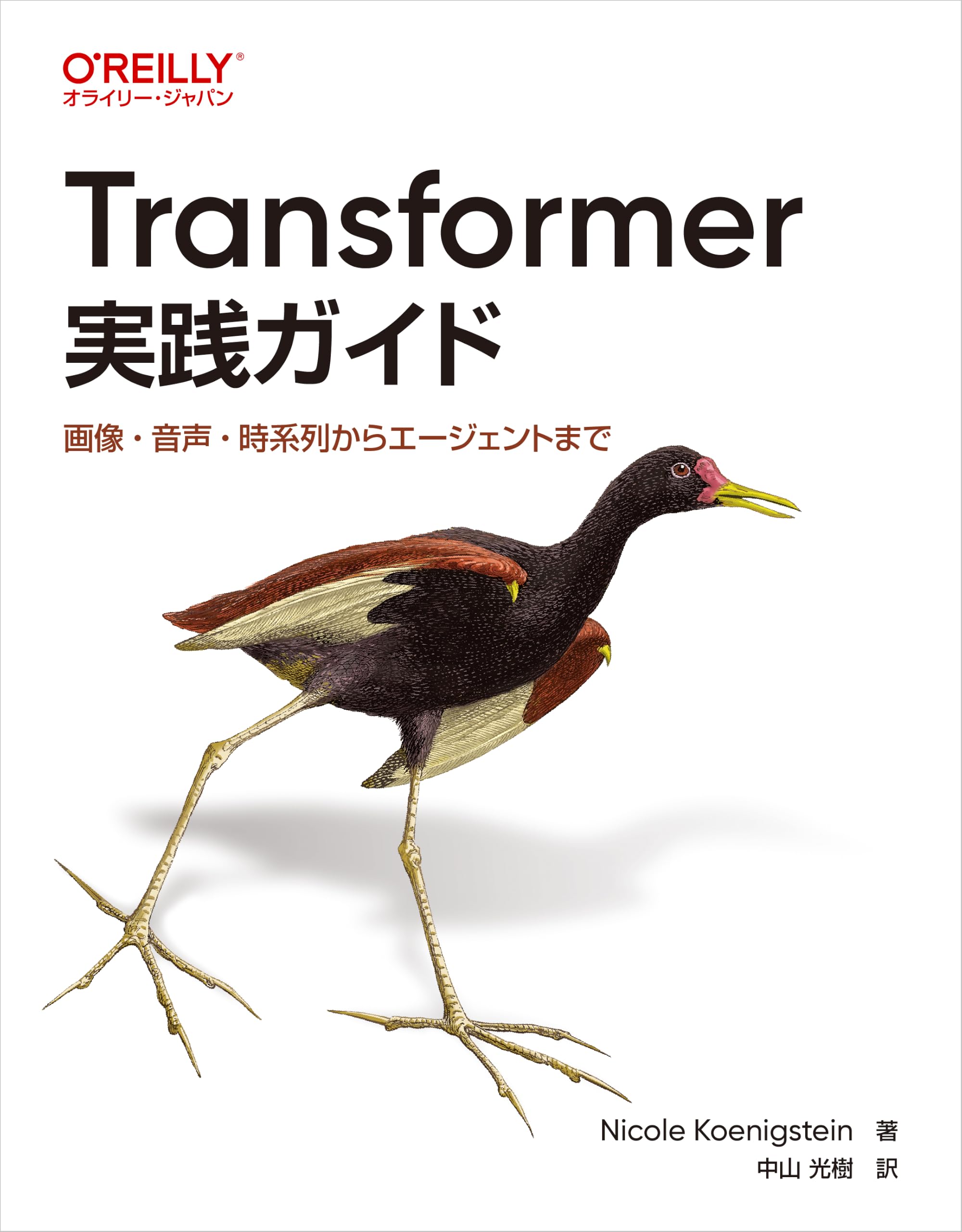 Amazon.co.jp: Transformer実践ガイド ―画像・音声・時系列から