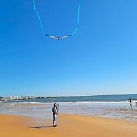 Vista 5 de Large Rainbow Delta Kite for Kids & Adults,Single Line Beach Kite for Kids Ages 4-8 & 8-12,Easy to Fly for Toddlers and Beginners