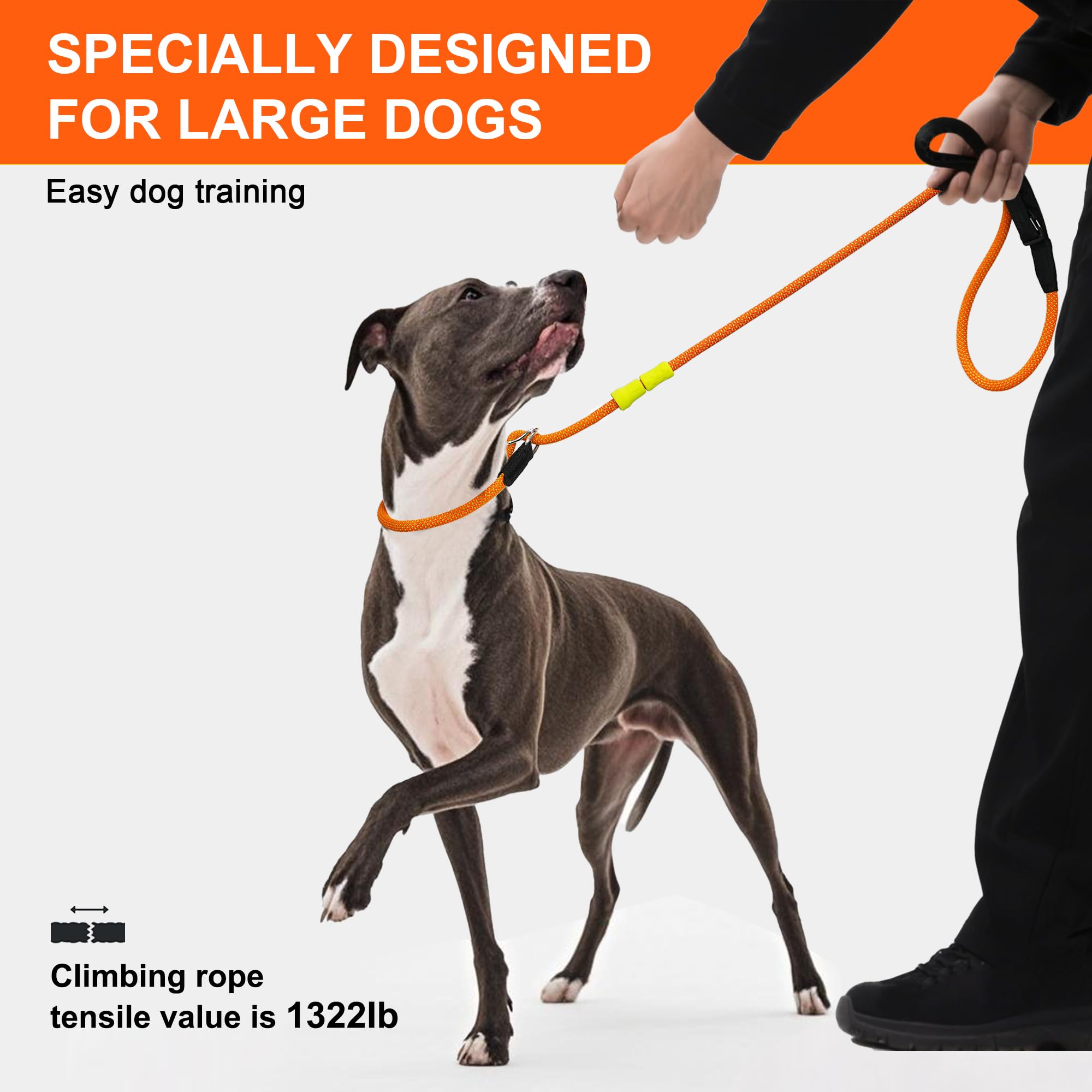 Leash Training Dogs That Pull: Mastering Control Techniques