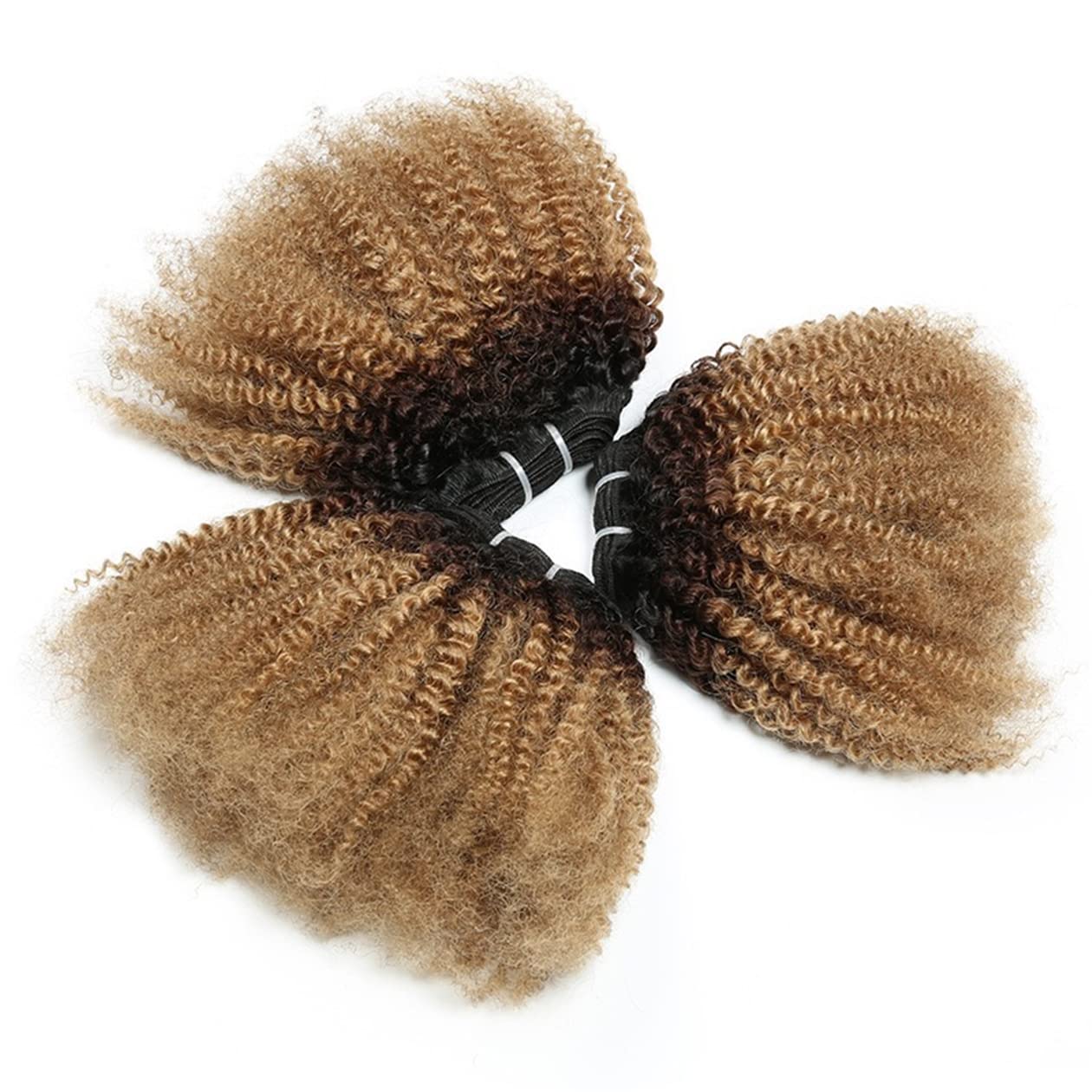 Curly Bundle Ombre Remy Hair Extensions Weft 100% Real Human Hair 3 Tone T1B/4/27 Afro Kinky Curly Weave 3.5 Ounces (10 inch)