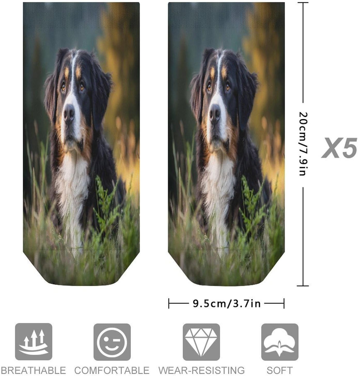 Bernese Mountain Dog Forests Socks for Men Women 5 Pairs Ankle Socks