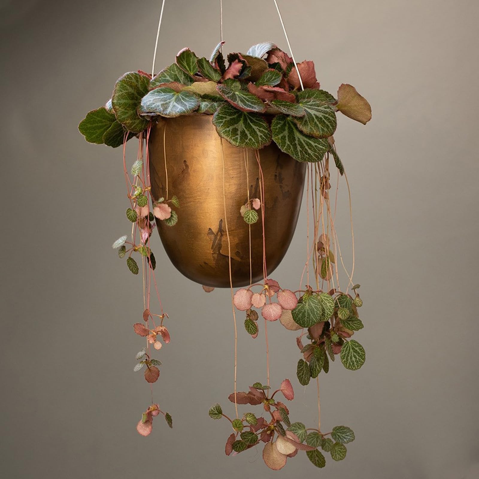 Crocus Copper Collection 18Cm Metal Outdoor Hanging Basket Planter Flower Pot For Trailing Foliage Plants Brushed Brass