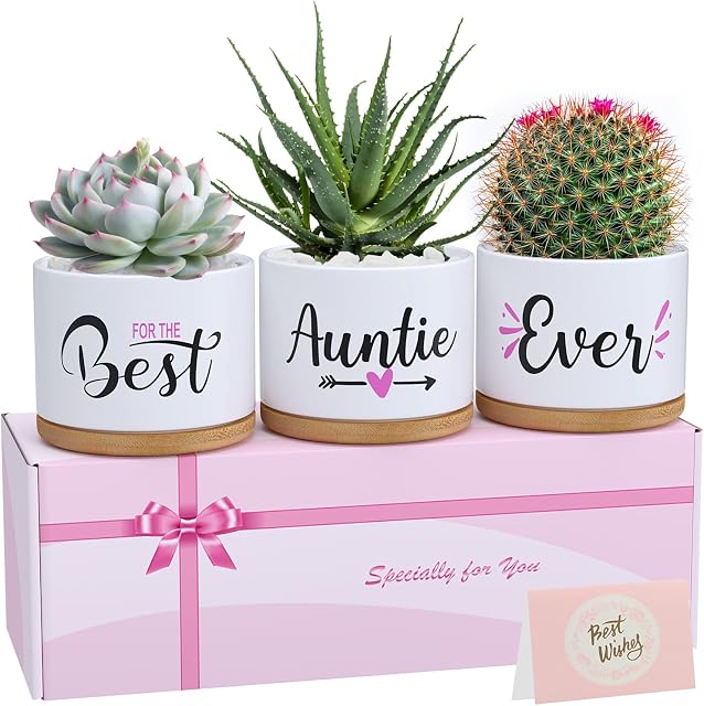 TuDou Gifts for Auntie, Christmas Birthday Gifts for Aunt from Niece Nephew, Unique Best Auntie Ever Ceramic Succulent Pots Planter Gifts for Any Occasion, Gifts for Aunt with Exquisite Box