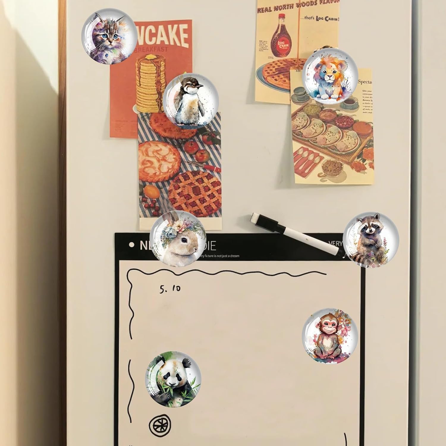 DIGNFENG Set of 12 Fridge Magnets Animals - Watercolour Design Glass Magnets 3 cm Small Round Funny Magnets for Fridge, Whiteboard, Notice Board, Magnetic Board, Decorative Magnets Gift