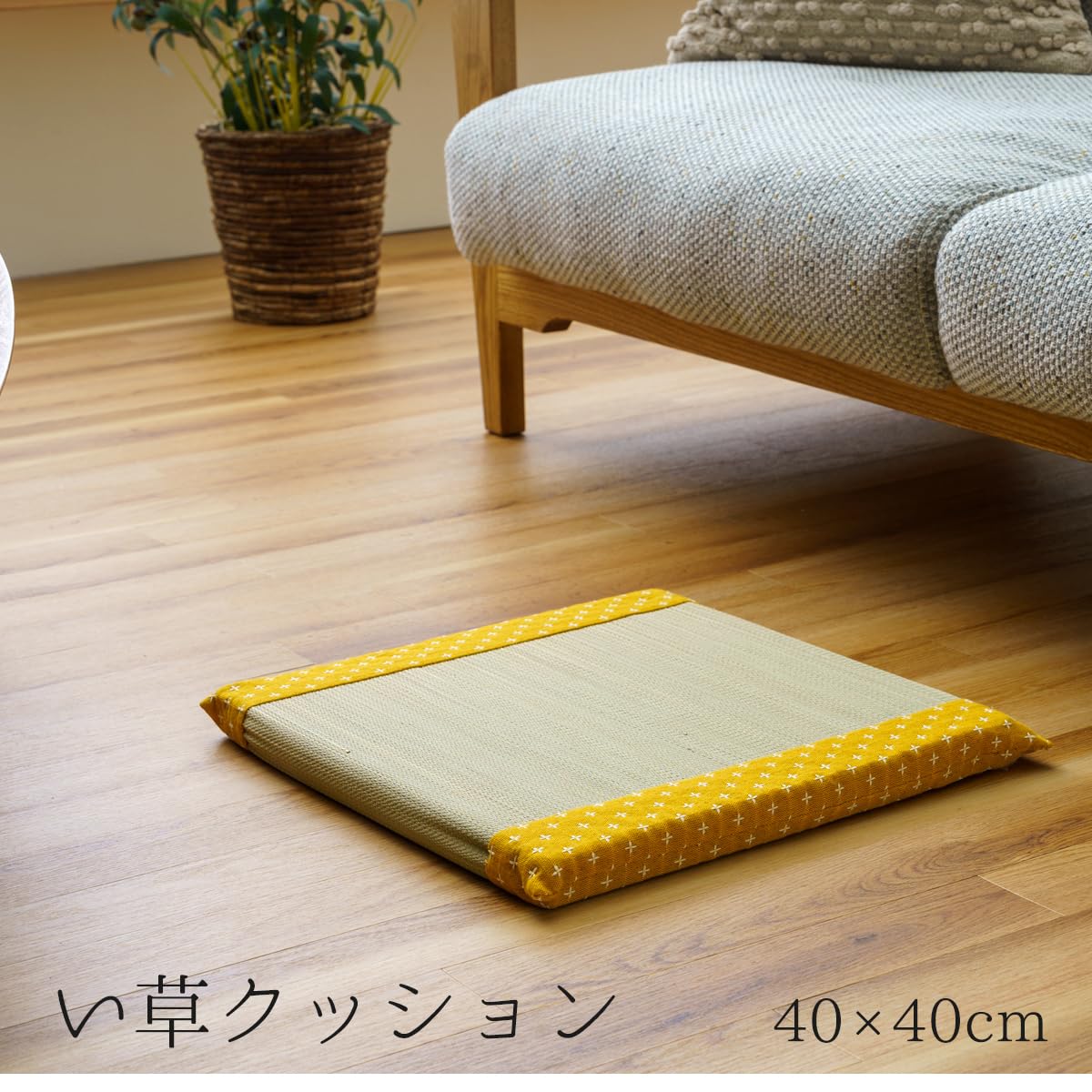 Amazon.co.jp: イケヒコ・コーポレーション(IKEHIKO)座布団い草座布団