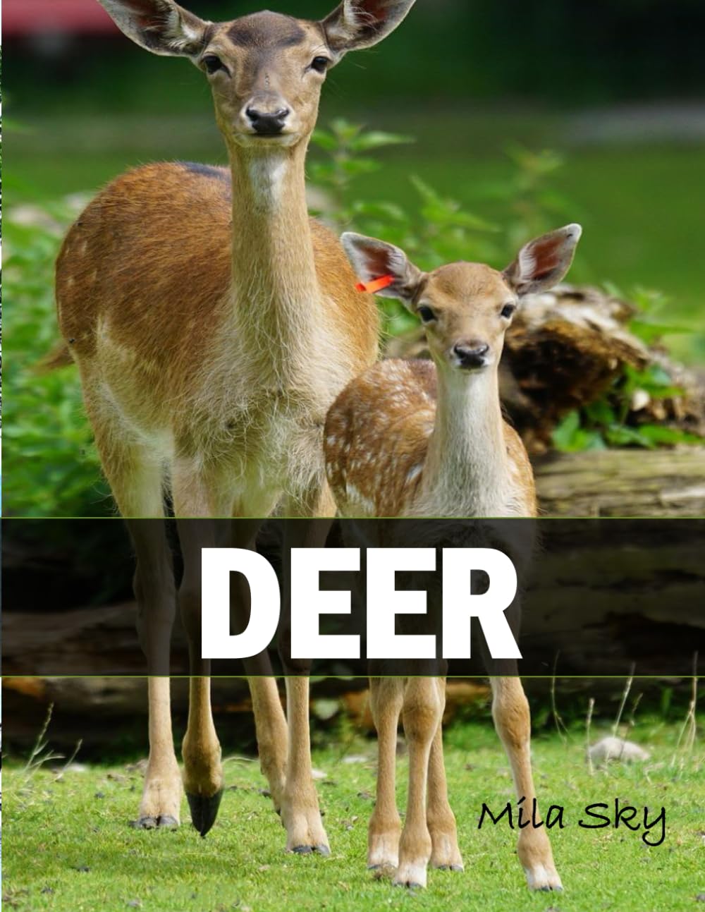 DEER: A Coffee Table Photo Book for Animal Lovers