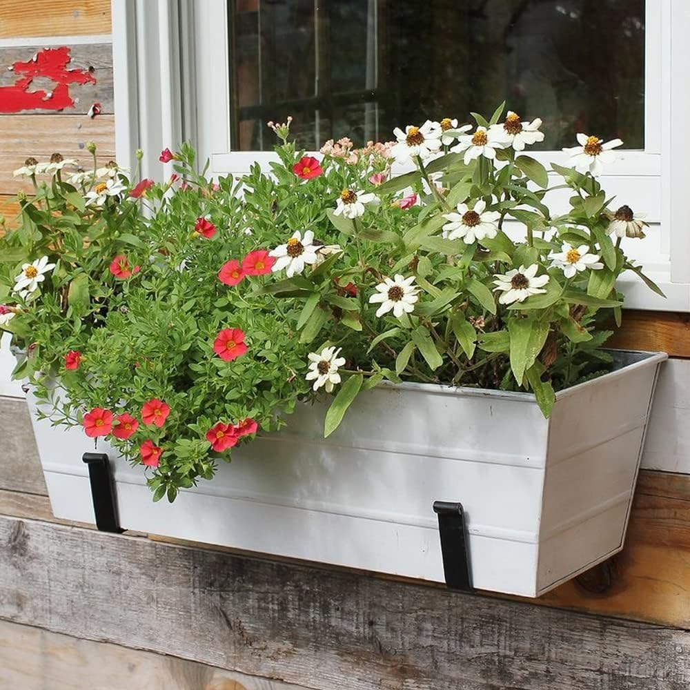 Small Cape Cod White Flower Box Planter – Compact Outdoor Container Garden with Drainage Hole, Traditional Plated Design & Multiple Mounting Options for Railings or Walls