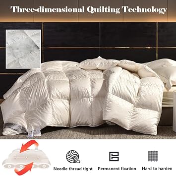 Goose Feathers Down Comforter, Warm Down Duvet Insert, Fluffy Feather Down Comforter, Ultra-Soft Down Proof Cover, Noiseless Duvet 220x240cm 2.8kg
