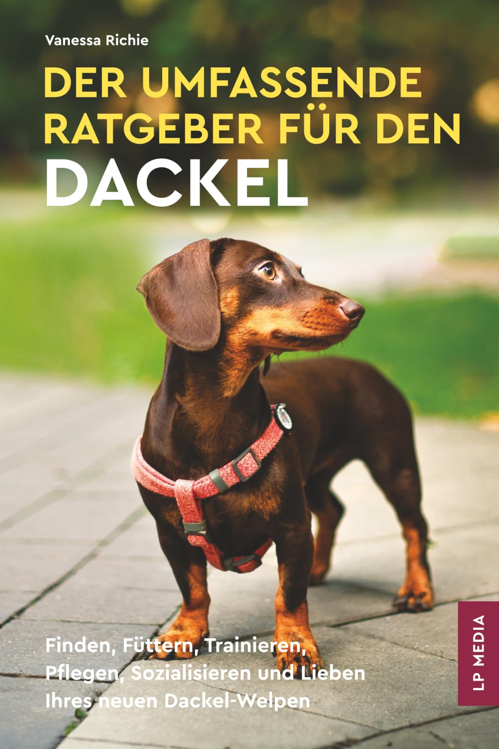 Der Umfassende Ratgeber Für Den Dackel: Finden, Füttern, Trainieren, Pflegen, Sozialisieren und Lieben Ihres Neuen Dackel-Welpen