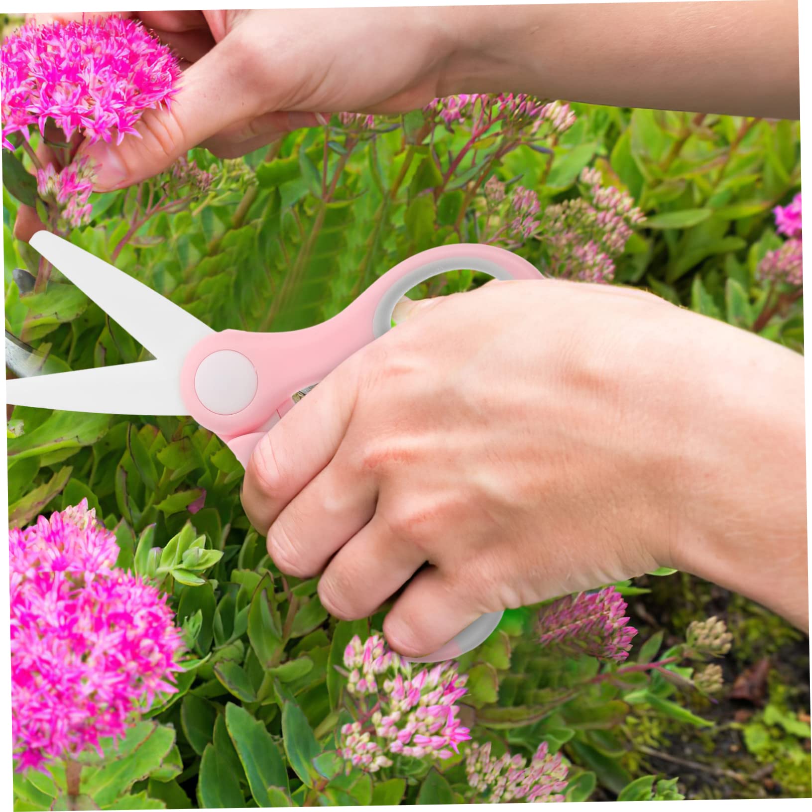 Toddmomy Cesoie Da Giardinaggio Portatili Con Scatola Stoccaggio Per Potatura e Piccole Piante Rosa Per Bonsai e Manutenzione Delle Piante