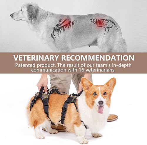 Miniatura 2 de Coodeo Arnés de elevación para perros, soporte de cuerpo completo y eslinga de recuperación, soporte de pierna trasera para mascotas, chaleco de