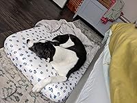 Review Image by Toisach