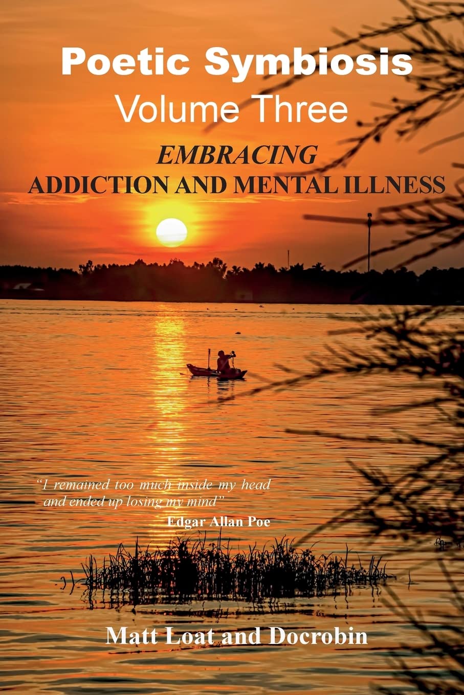 Poetic Symbiosis Vol III: Embracing Addiction and Mental Illness