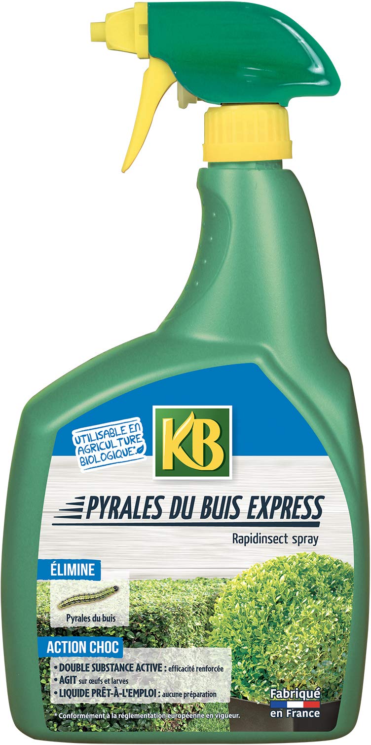 KB HOME DEFENSE Evergreen – Pyrale du Buis Express UAB PAE 700 ML – KPYR700