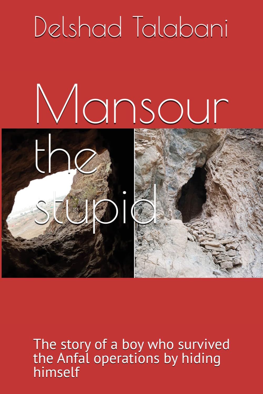 Mansour the stupid: The story of a boy who survived the Anfal operations by hiding himself