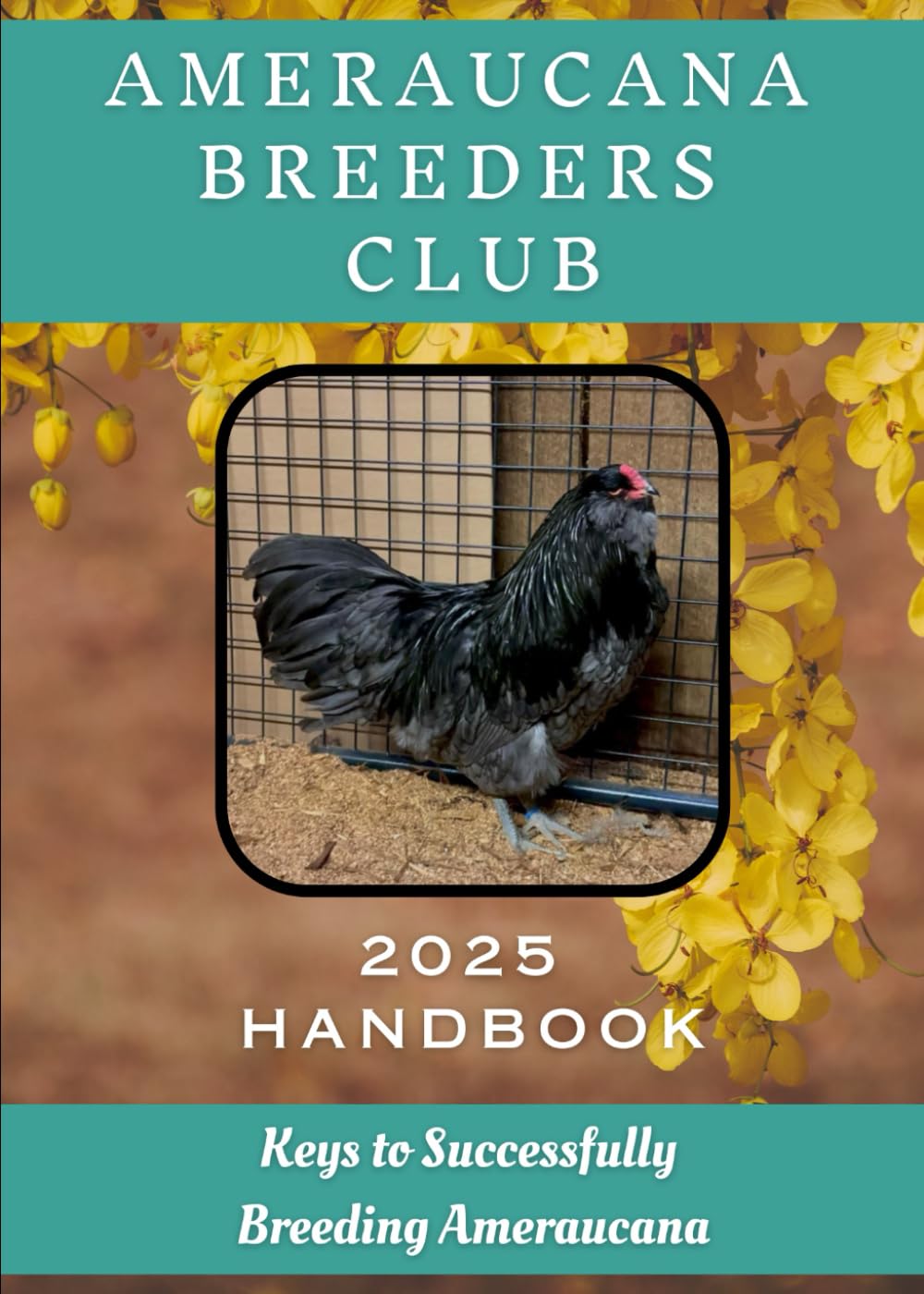 Keys to Successfully Breeding Ameraucanas