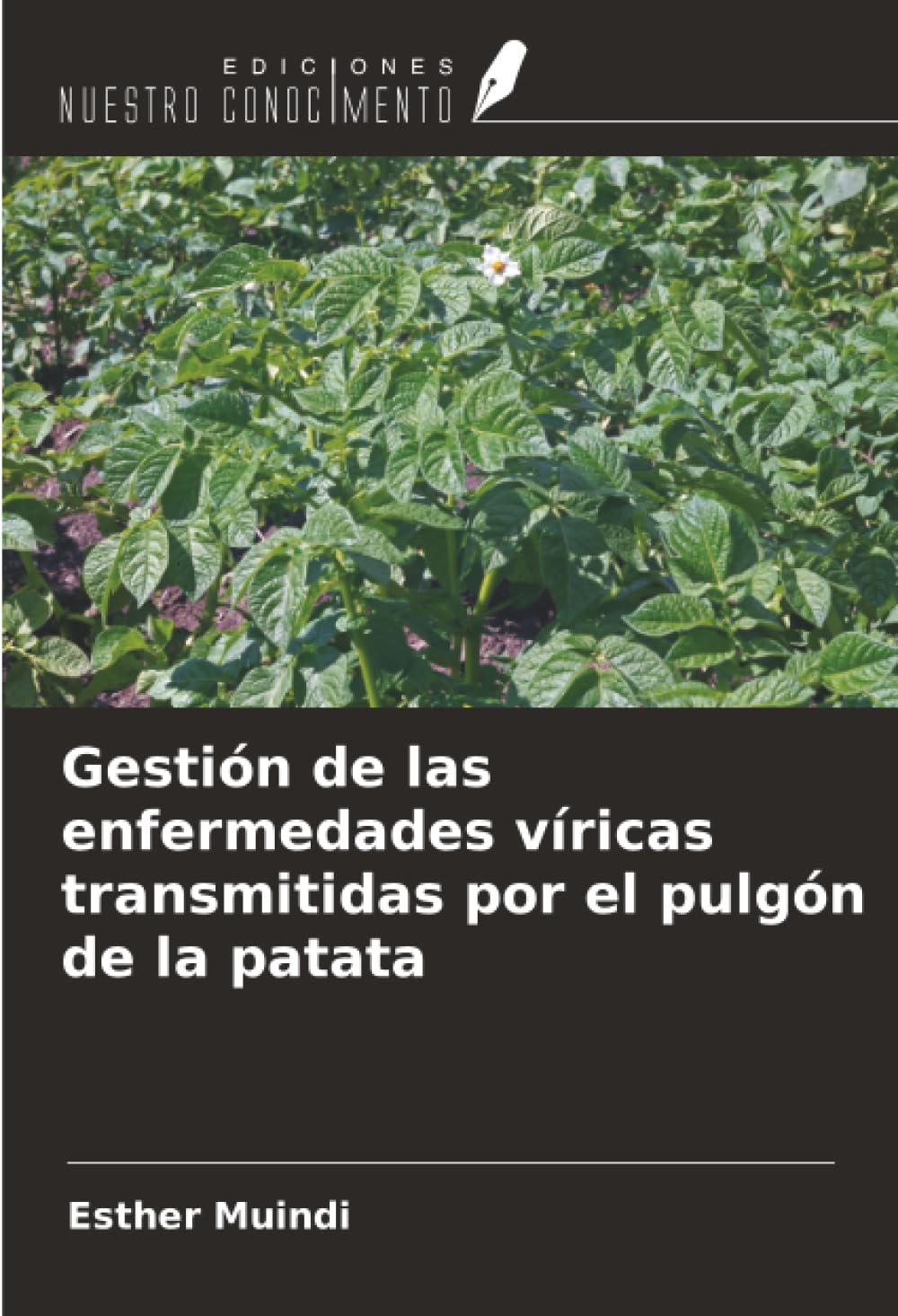 Gestión de las enfermedades víricas transmitidas por el pulgón de la patata