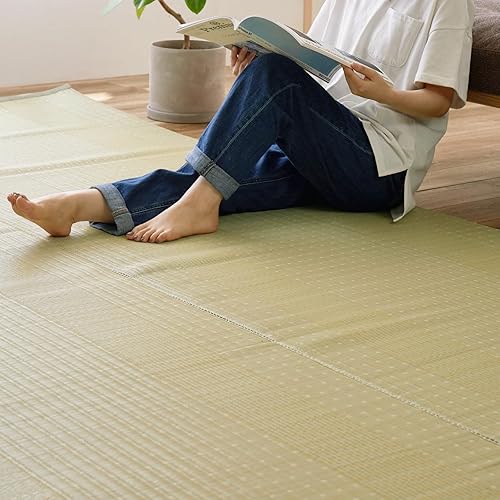 萩原 洗える い草風カーペット 涼風 グリーン 団地間1畳 約85×170cm 上敷き ラグ 子供部屋 保育園 ペット 日本製