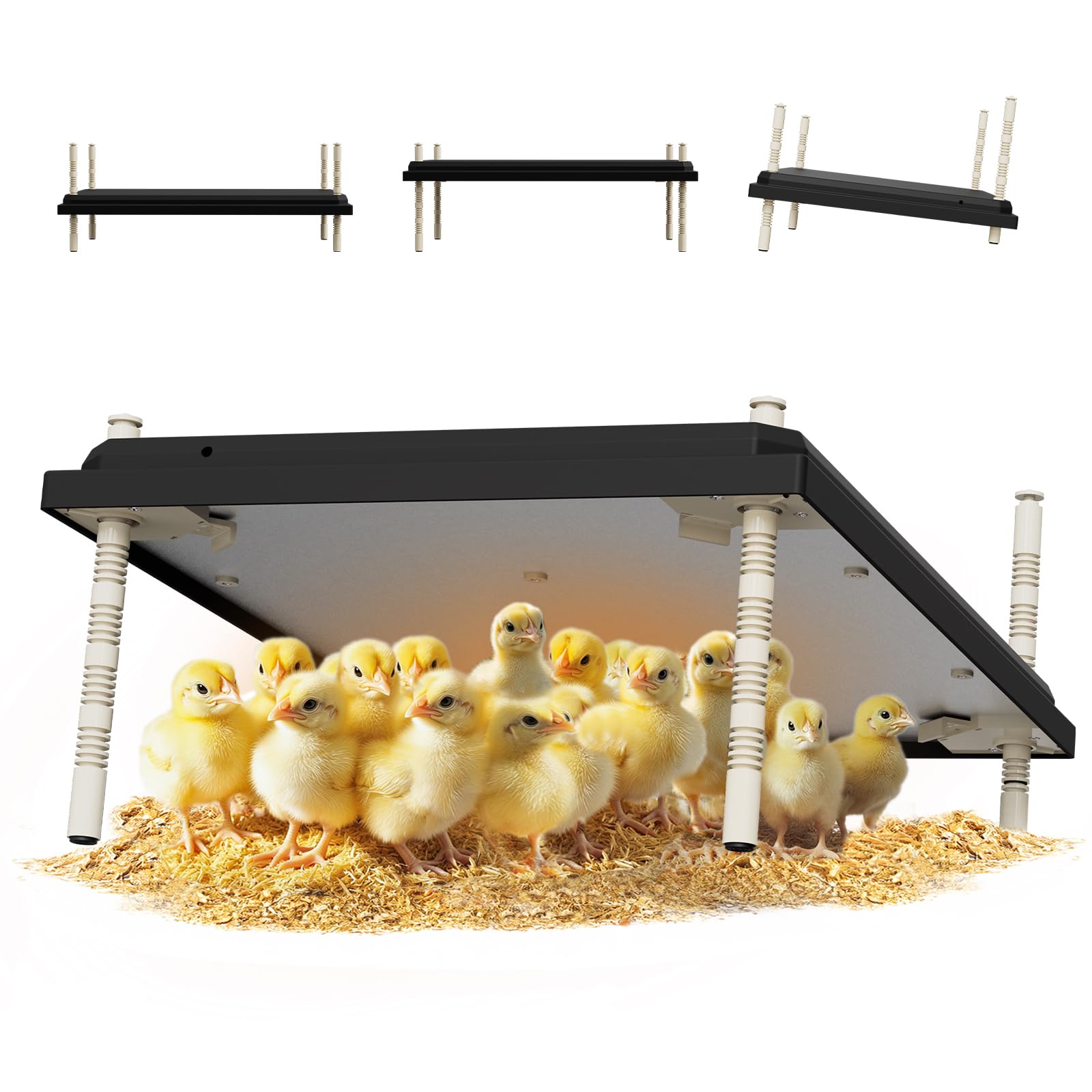 ZIDA Placa calefactora para pollitos, 40 x 61 cm de altura y ángulo ajustable, ajuste de temperatura constante de 80 W, puede calentar 50 pollitos, bajo decibelio, ahorro de energía y más seguro