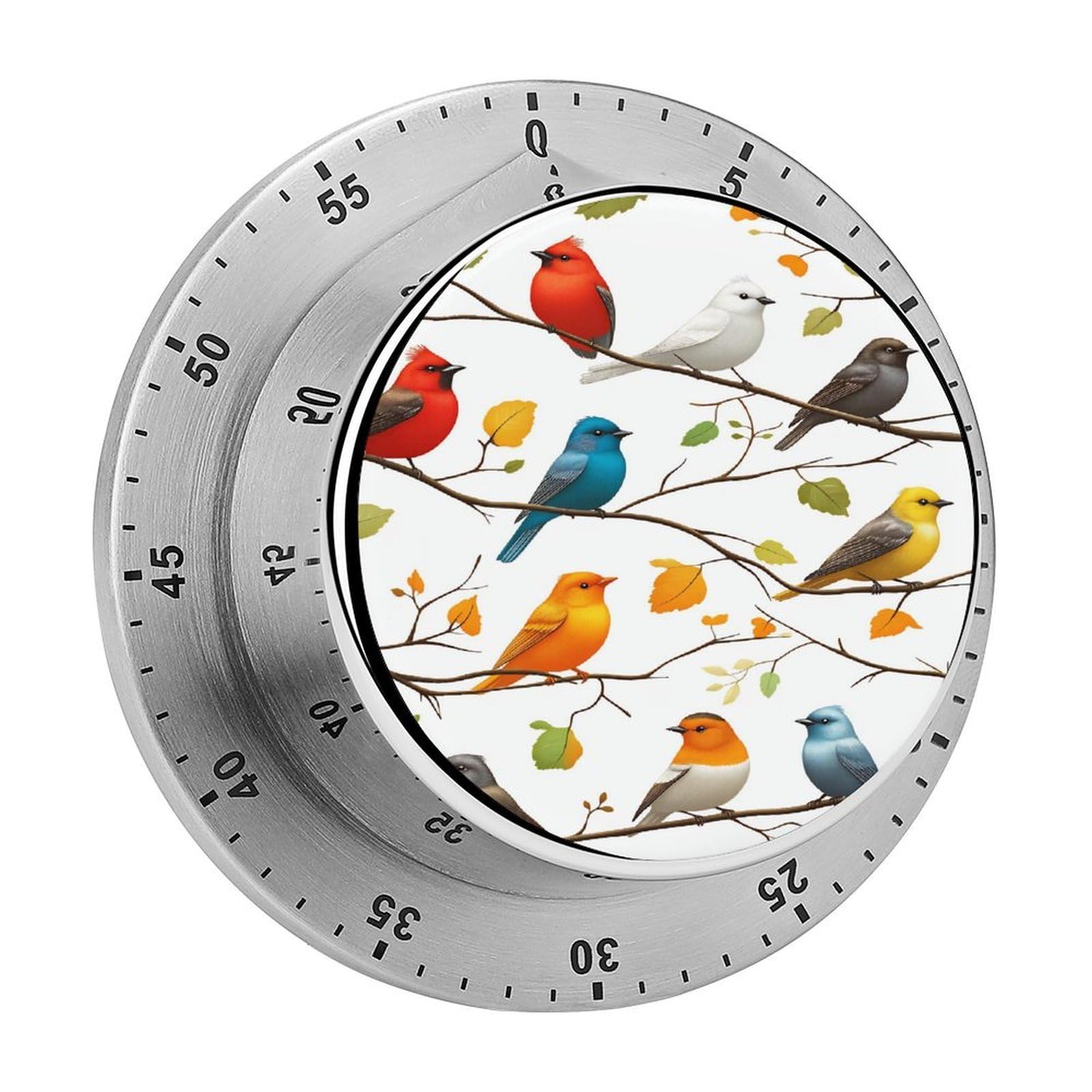 Colorful Birds Branch Pattern 60 Minute Wind Up Timer,Visual Mechanical Magnetic Timer with Loud Alarm for Kitchen