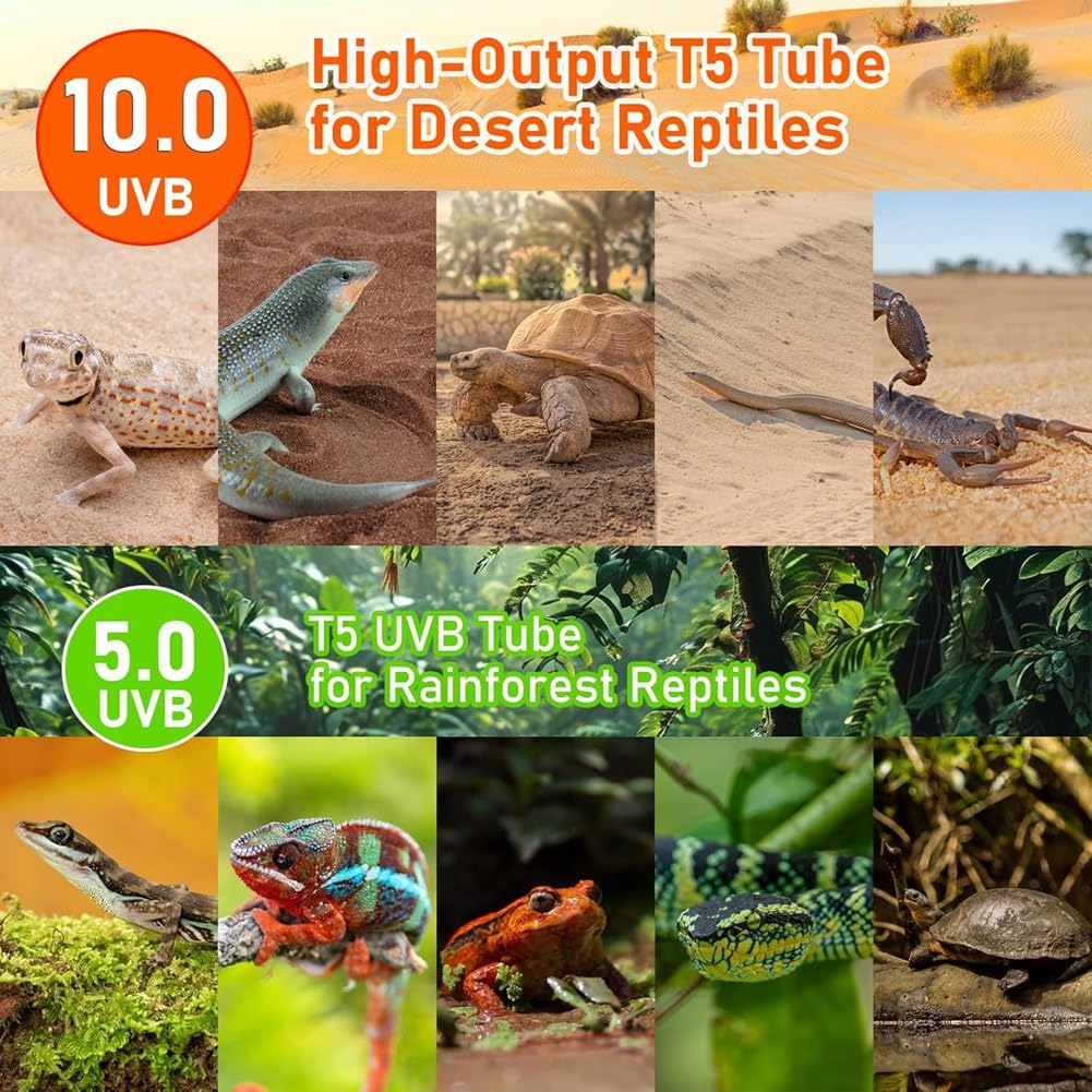 Bombilla UVB T5 para Dragón Barbudo, 10 W, 24 W, UVA, UVB, HO, Barra de Luz para Reptiles, 22 Pulgadas, Paquete de 2