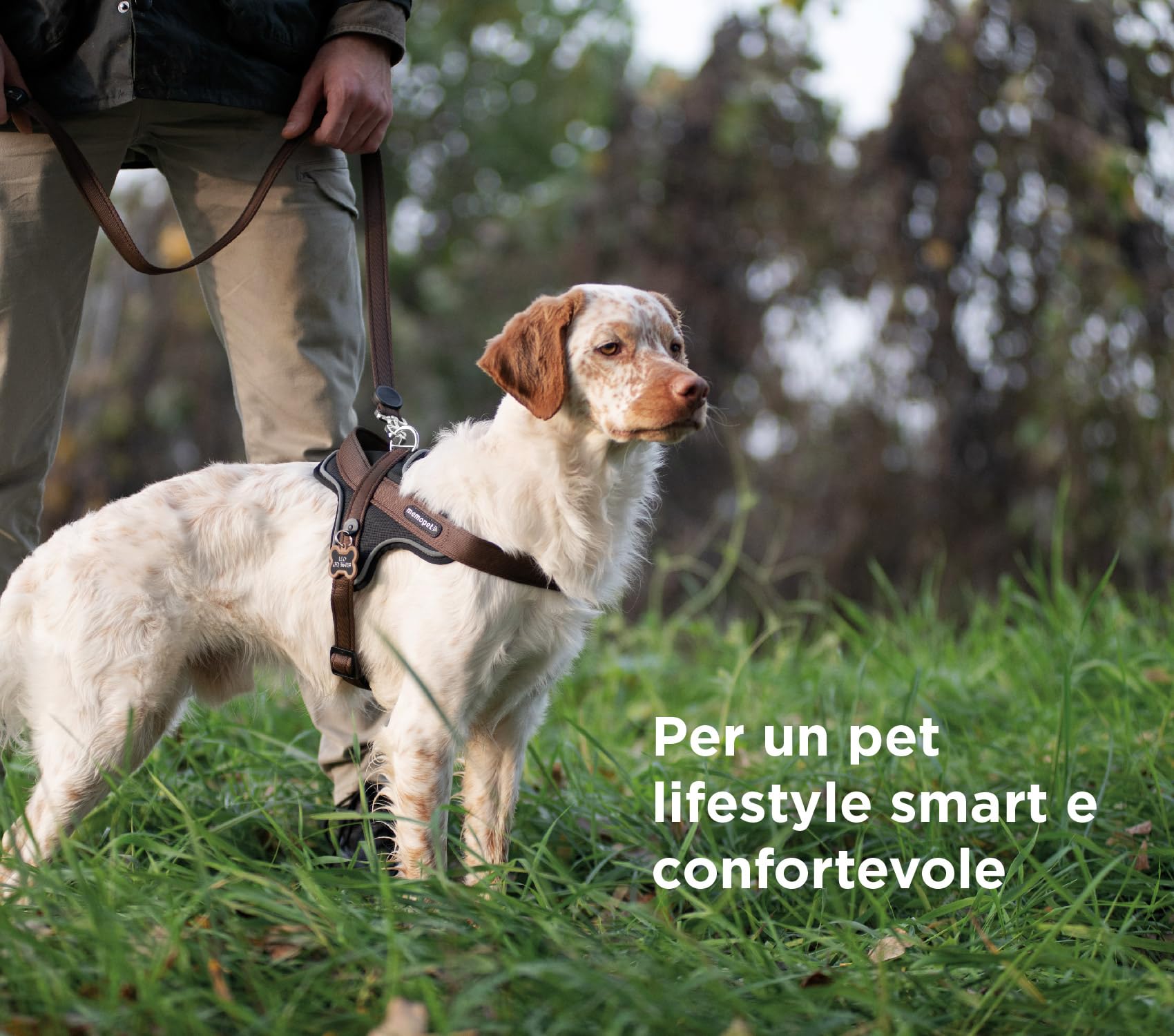 MyFamily Made in Italy Polyester Dog Bib, Your Dog's Master Data Always with You, Smartphone Connection with NFC Technology, Model K, memopet Collection