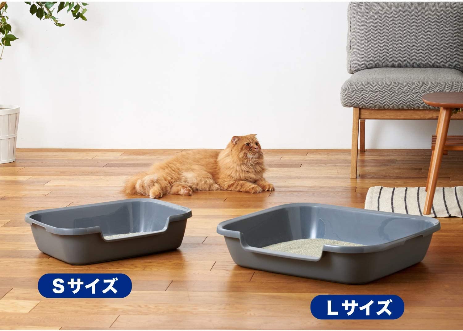 Amazon | 【OFT】 シニア猫トイレ Kitty and Puppy Pan S キティアンド