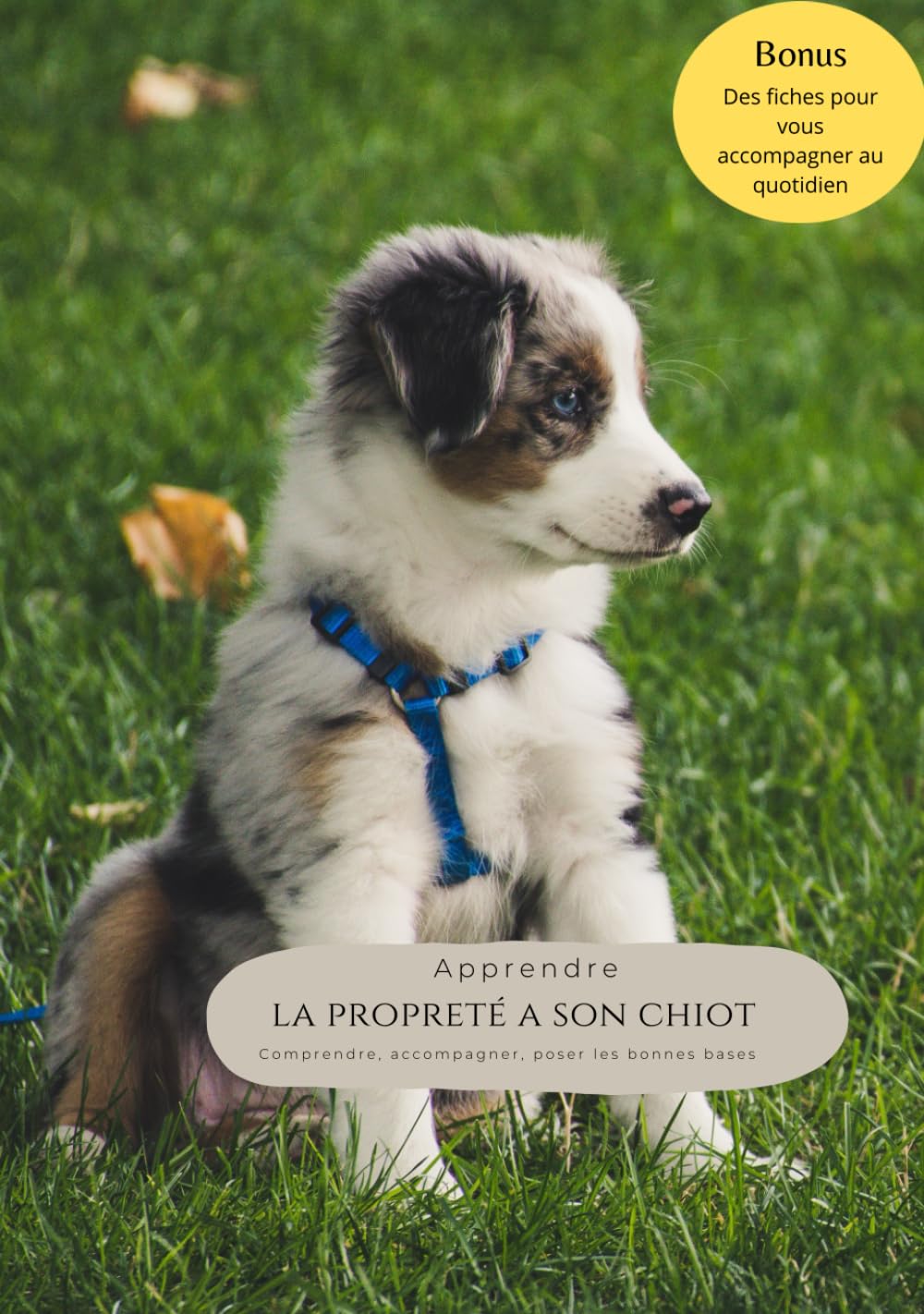 Apprendre la propreté à son chiot: Comprendre, accompagner, poser les bonnes bases