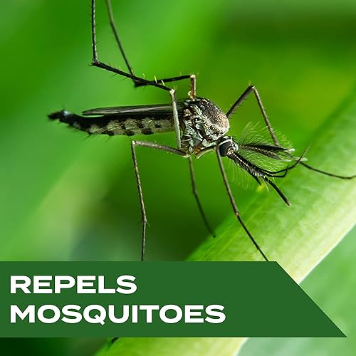 Miniatura 2 de Stem Repels Mosquitos Spray repelente de mosquitos con extractos botánicos 4 onzas líquidas (paquete de 3)
