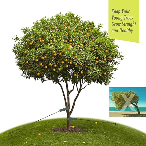 Miniatura 4 de Kit de estaca para árbol resistente, estacas de acero de 15.75 pulgadas y soportes para árbol joven, antiviento fuerte, kit de enderezamiento de