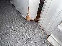 Review Image by Michael P. Michael P.