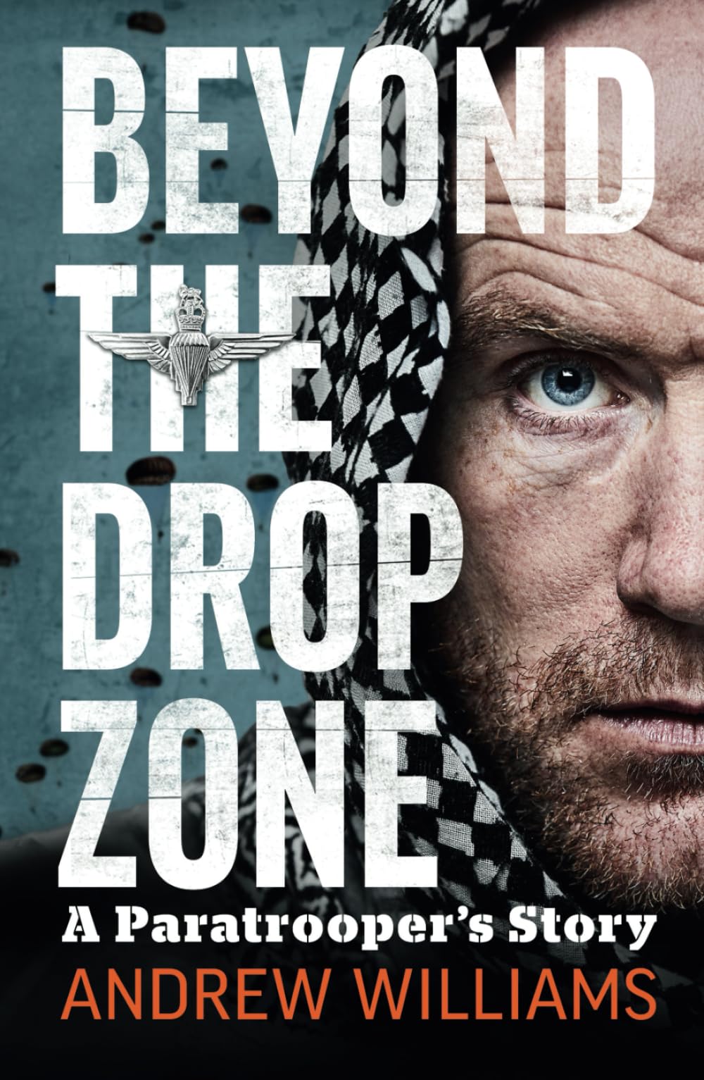 Beyond The Drop Zone: A Paratrooper's Story