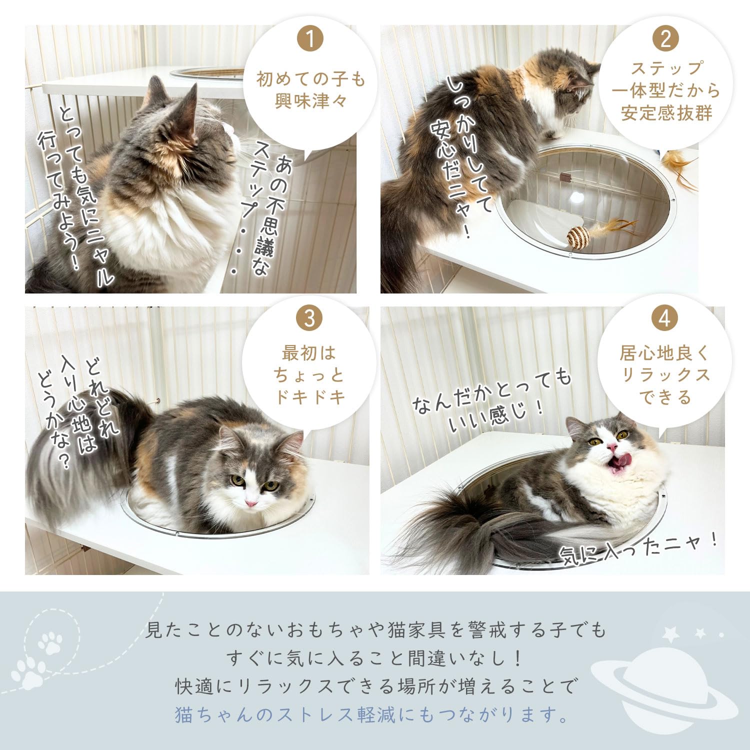 Amazon.co.jp: 【公式】 ieneko ねこの惑星 透明ボウル 猫 ケージ