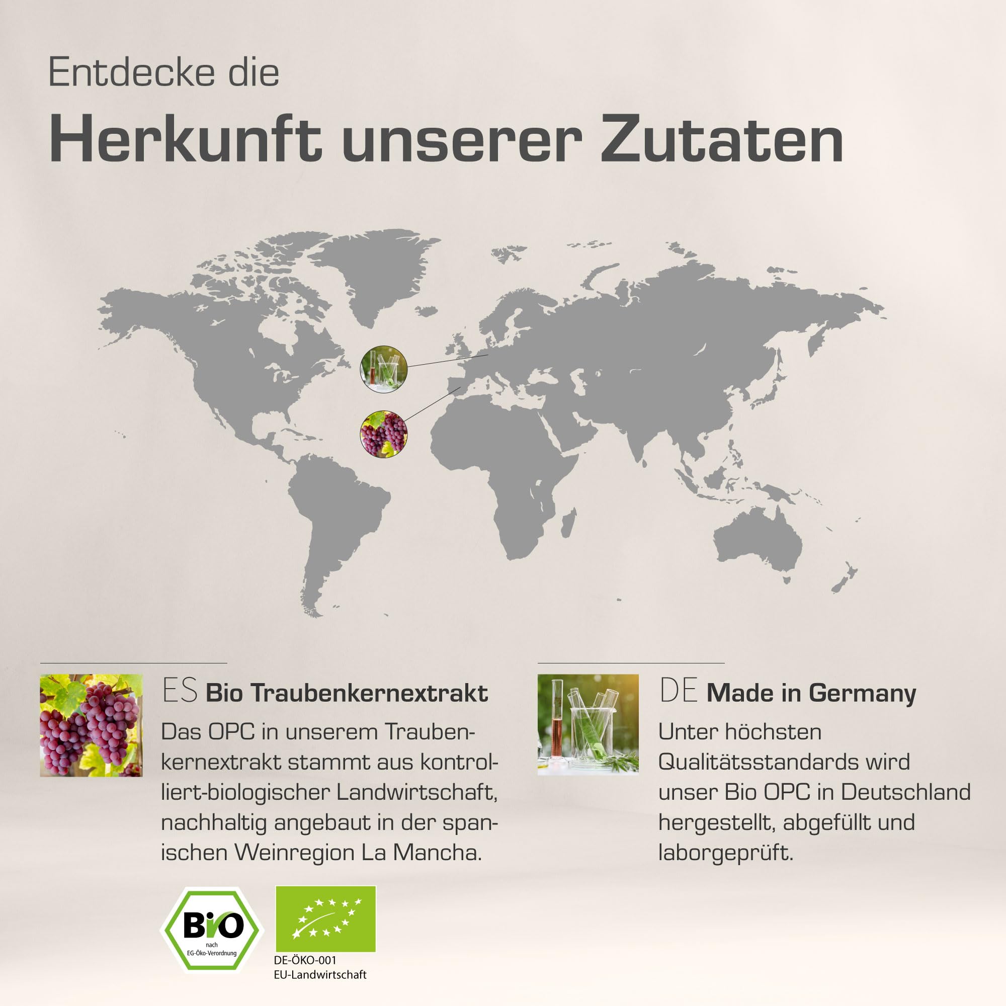 Purabyo OPC BIO Traubenkernextrakt | im Glas | 300mg OPC pro Kapsel (HPLC laborgeprüft) | Bio Anbau in Spanien | wasserextrahiert | OHNE Zusätze | vegan, laborgeprüft, in Deutschland hergestellt