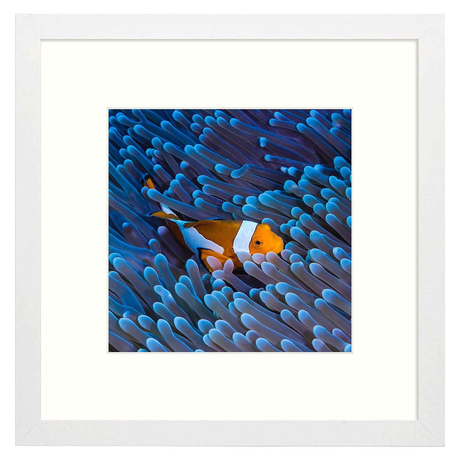 Frametory, 12x12 White Picture Frame - with Ivory Color Mat Made to Fit 8x8-inch Photos - Wide Molding - Mounting Hardware on Back