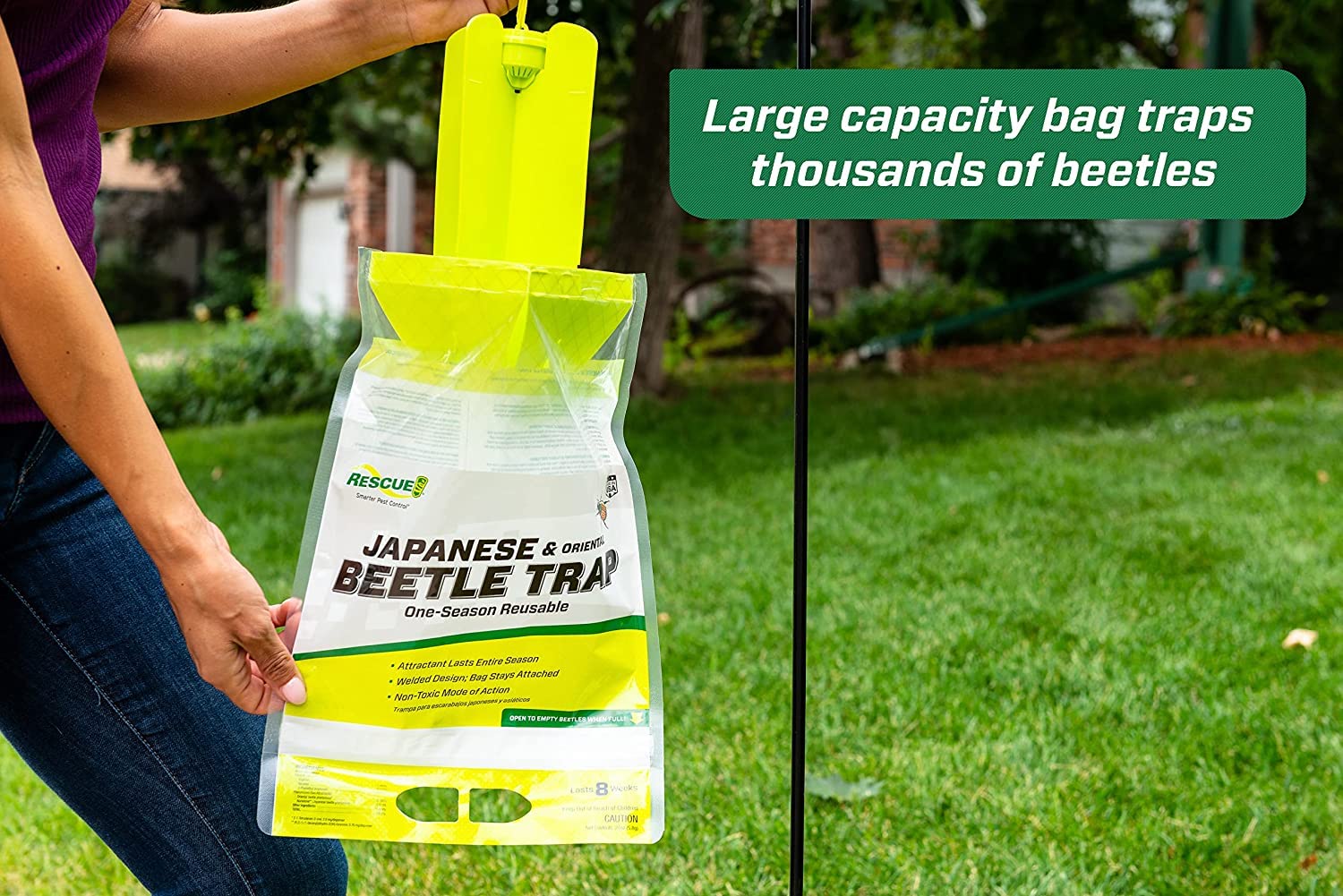 Amazon.com : Japanese Beetle Trap : Patio, Lawn & Garden