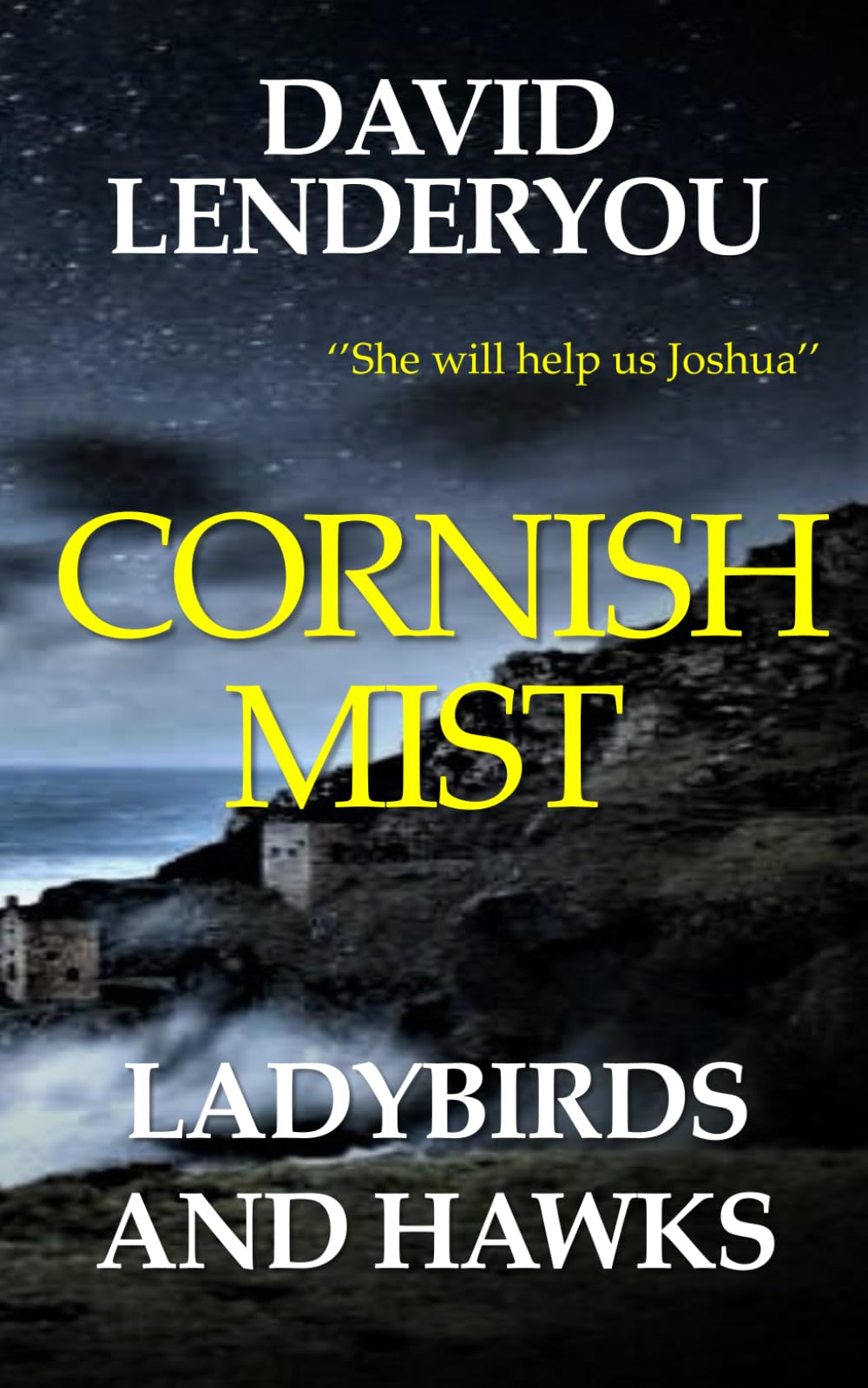 Cornish Mist: Ladybirds & Hawks: 3