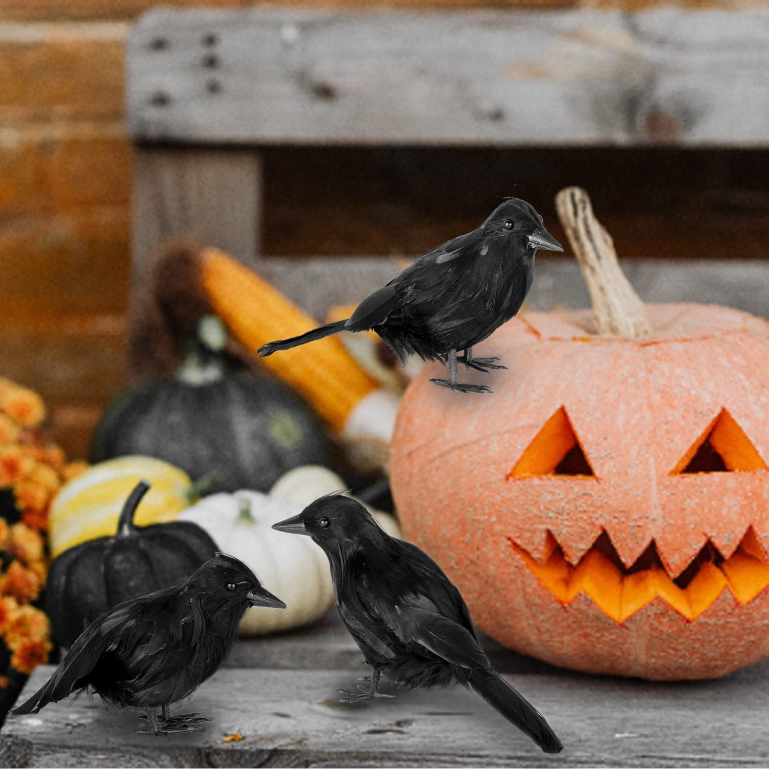 Amazon.com: JOYIN 6 Pcs Black Halloween Crow Decor, Realistic Crow