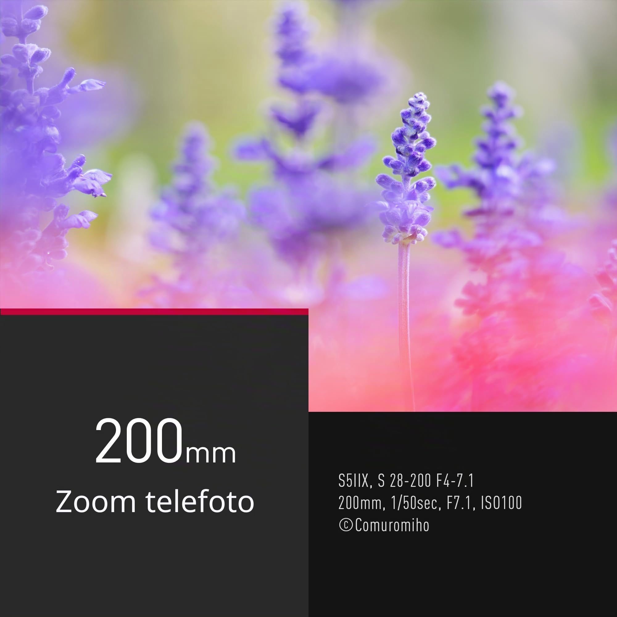 PANASONIC Objectif Lumix S 28-200mm f/4.0-7.1 Macro