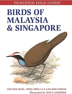 Birds of Malaysia and Singapore (Princeton Field Guides)