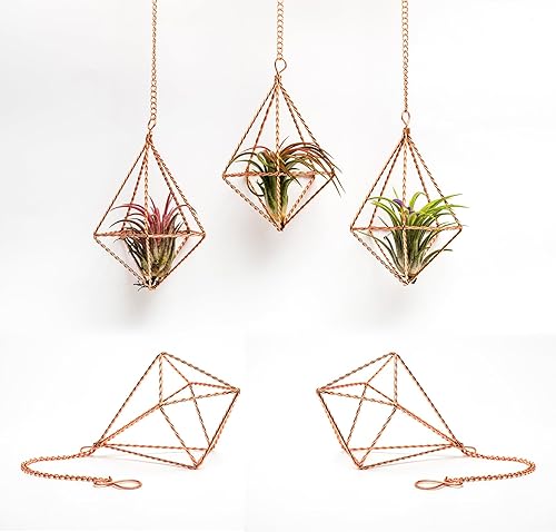 libproqia 5 soportes geométricos colgantes para plantas de aire, colgadores de metal trenzado para plantas de aire con forma de diamante pequeño,