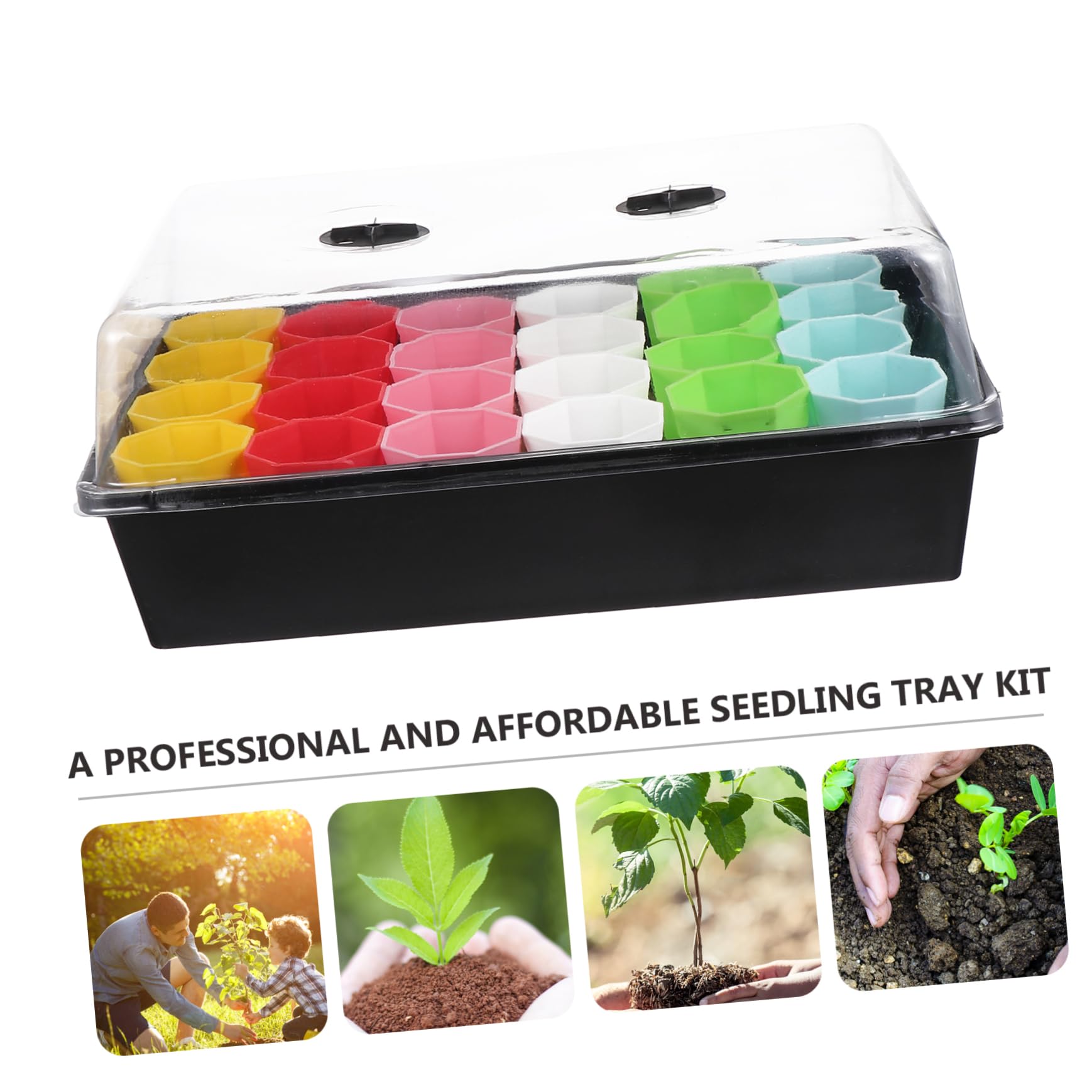 TOYANDONA Plateau de Propagation pour Plantes avec Pot Inclus pour Culture de Semis et Micro-pousses