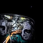 Review Image by jacoby jacoby