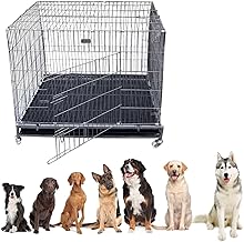 Petarchi Heavy Duty 48 Inch Dog Crate Cage with Wheels & Divider | Foldable Metal Dog Kennel for Medium & Large Dogs | Double Door Locking Crate | Portable Dog Cage with Tray (49X36.5X53 in, Black)